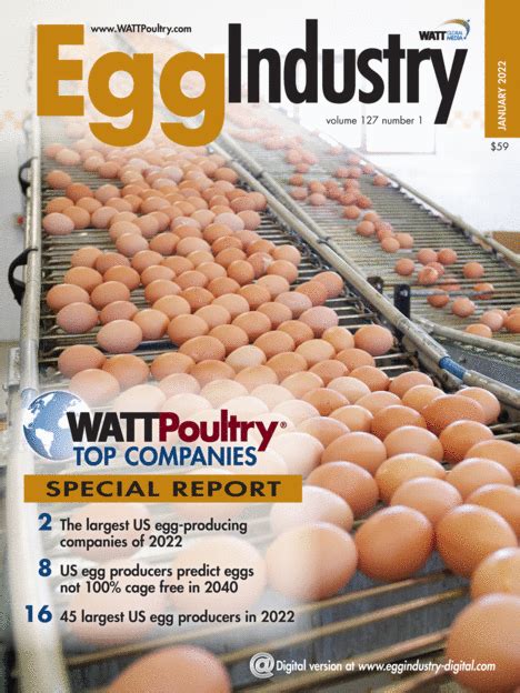 egg hong kong ppc company|Working at The Egg Company .